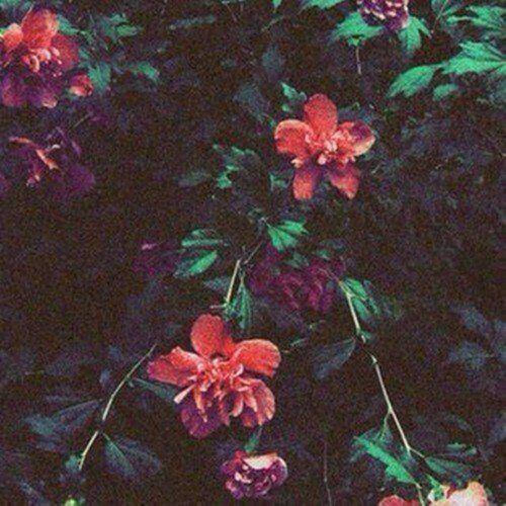 deadxbeat
