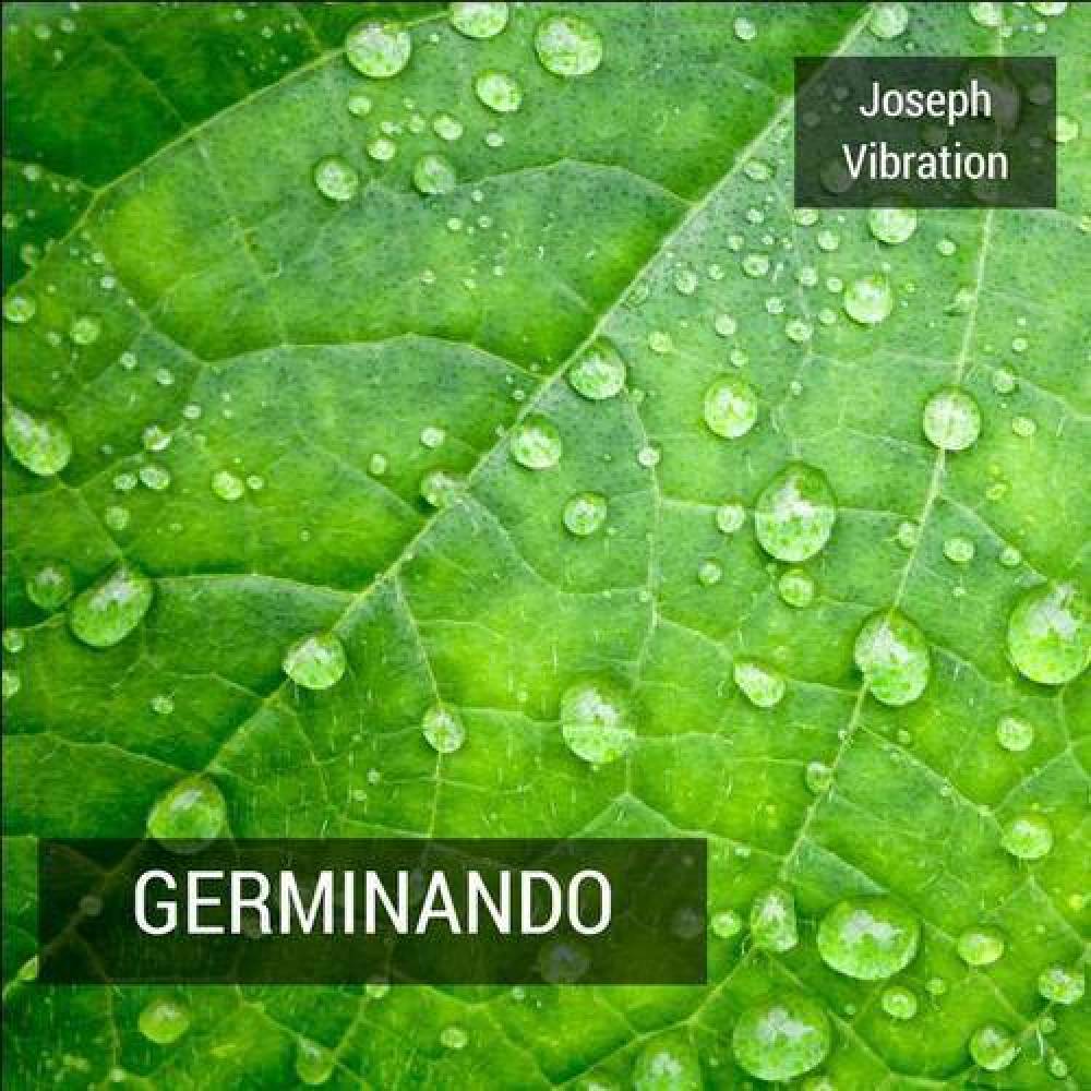 Joseph Vibration