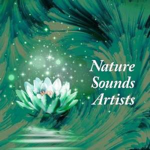 Nature Sounds Artists