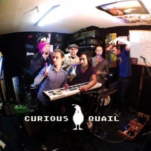Curious Quail ดาวน์โหลดและฟังเพลงฮิตจาก Curious Quail