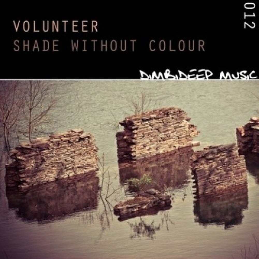 Volunteer
