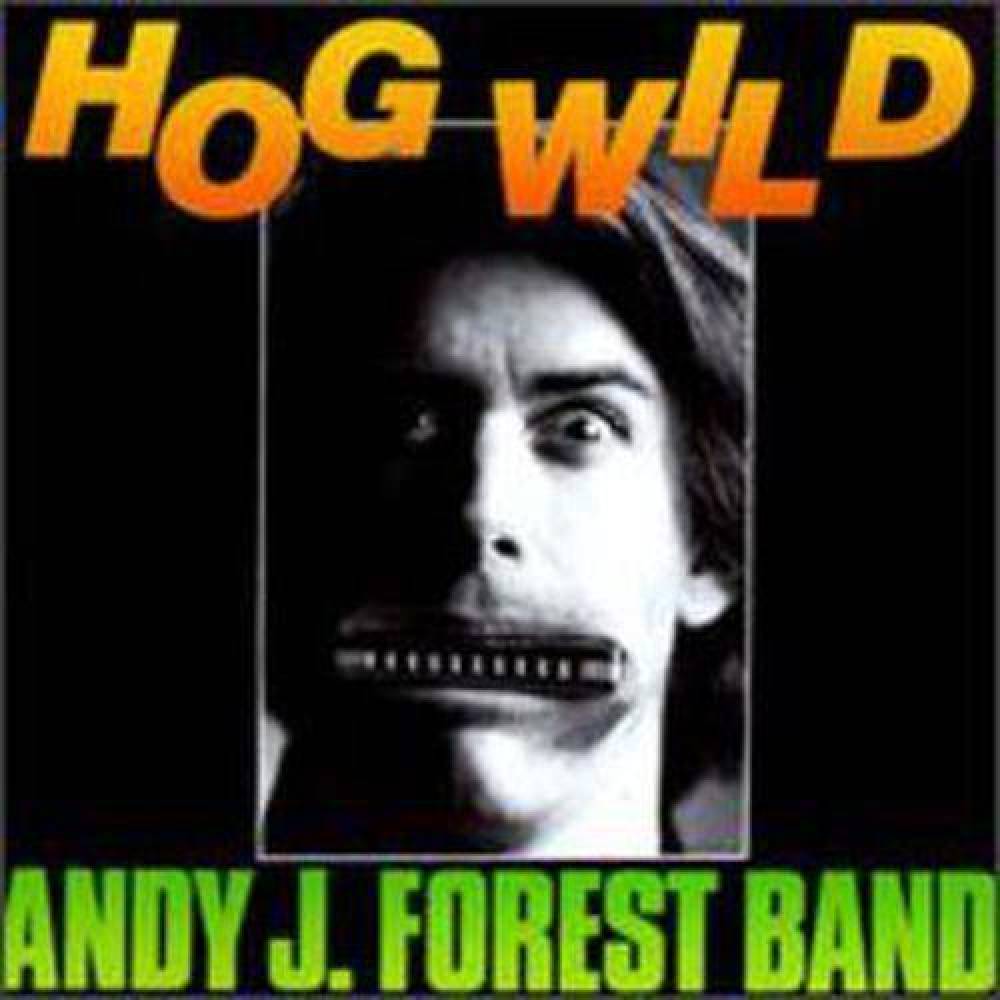 Andy J Forest