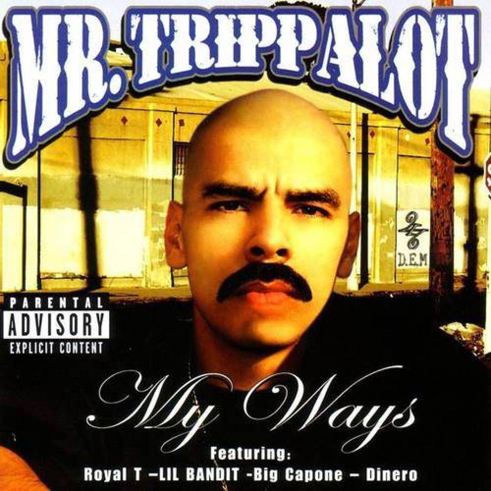 Mr Trippalot