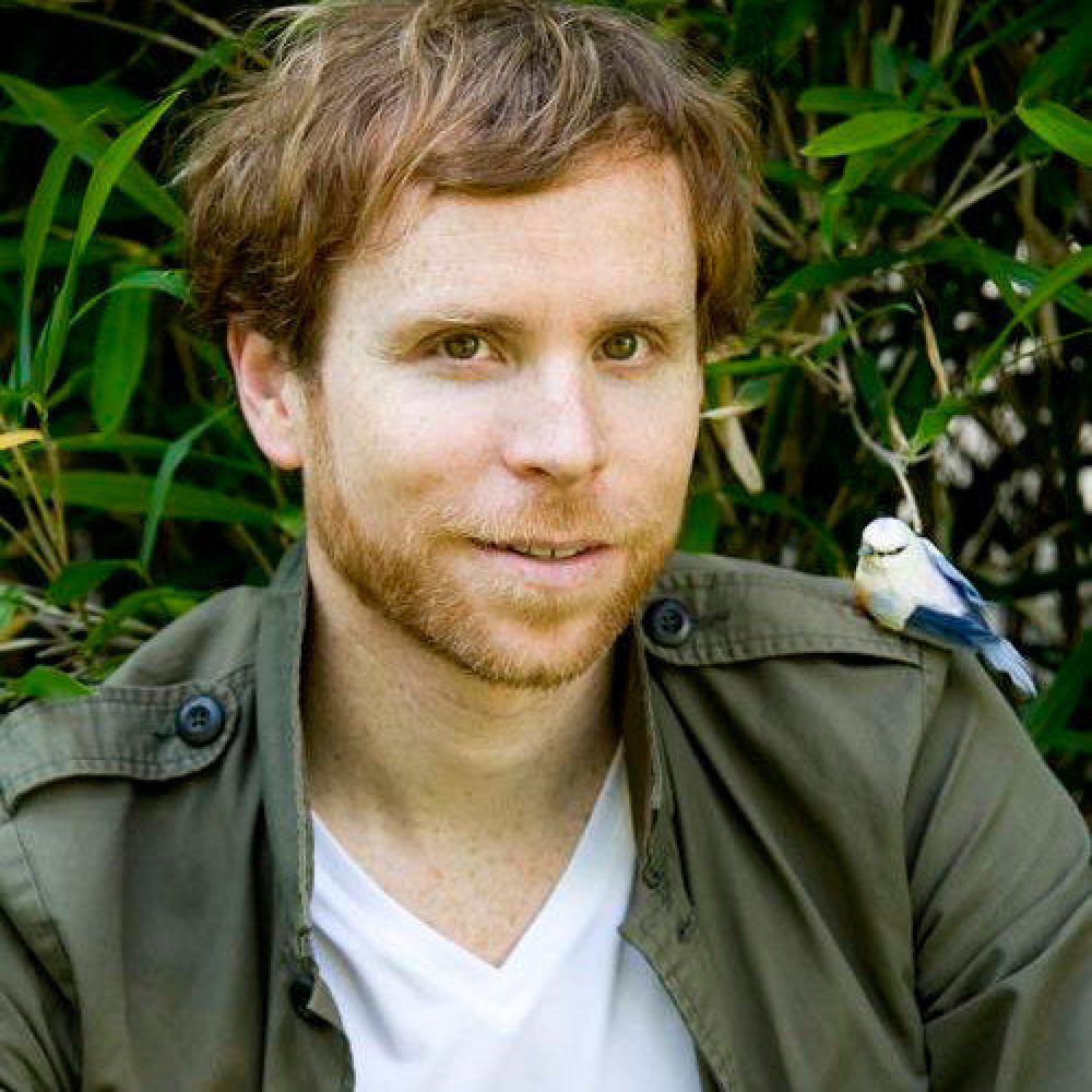 FAUVE
