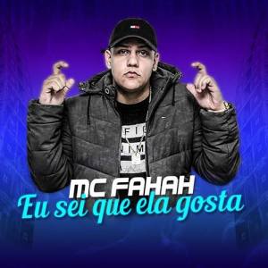 MC Fahah ดาวน์โหลดและฟังเพลงฮิตจาก MC Fahah