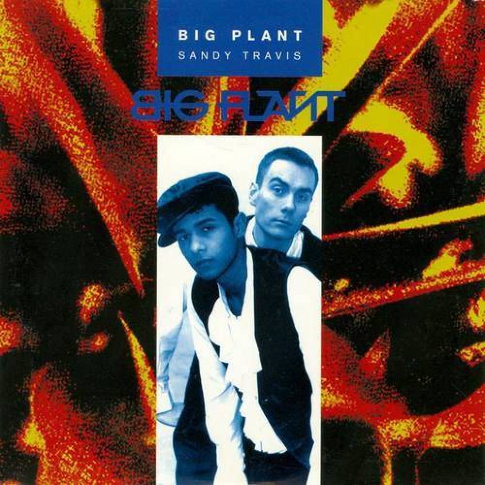 Big Plant