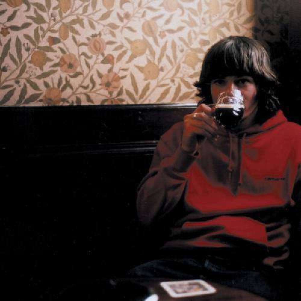 Bibio