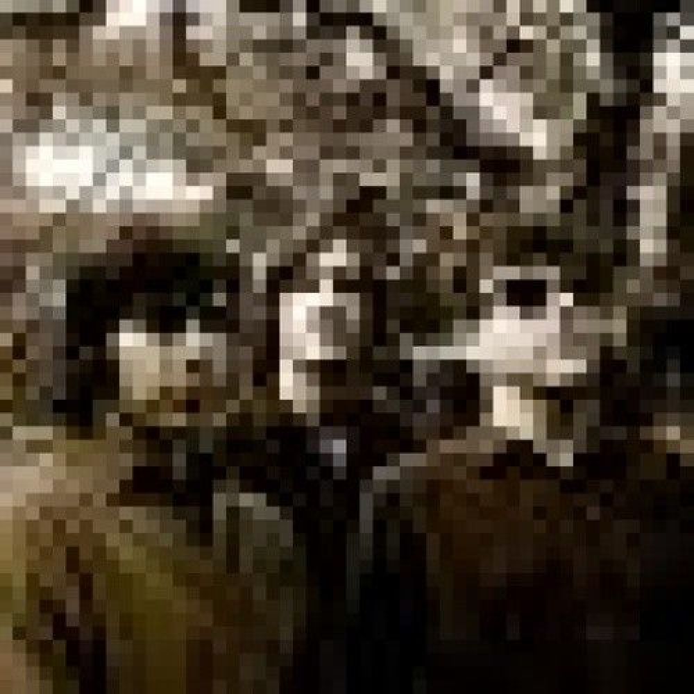 The Spyrals