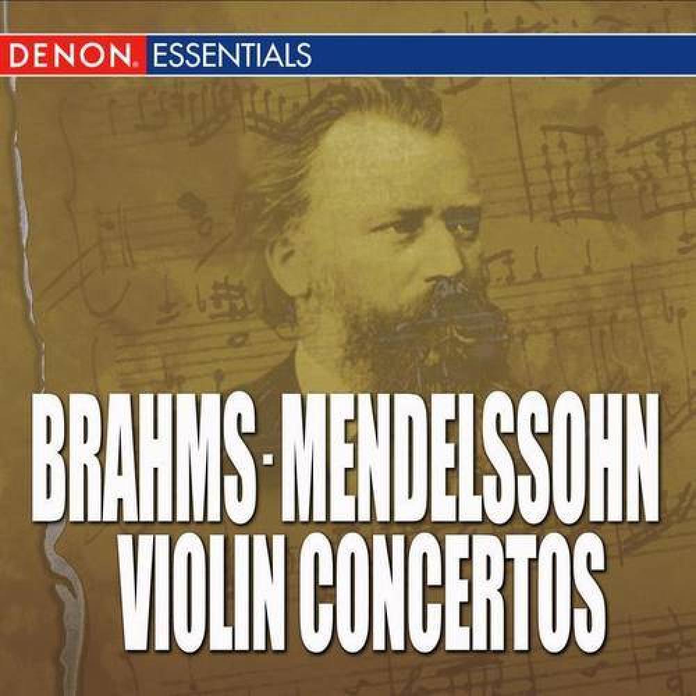 Violin Concerto in E Minor, Op. 64: I. Allegro molto appassionato