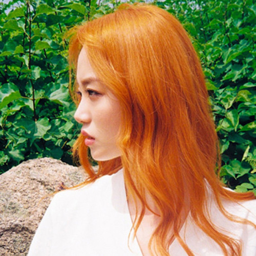 리밋