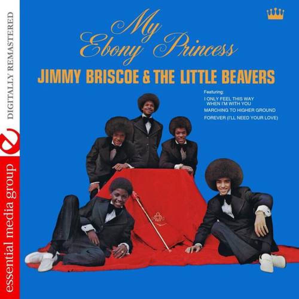 the Little Beavers