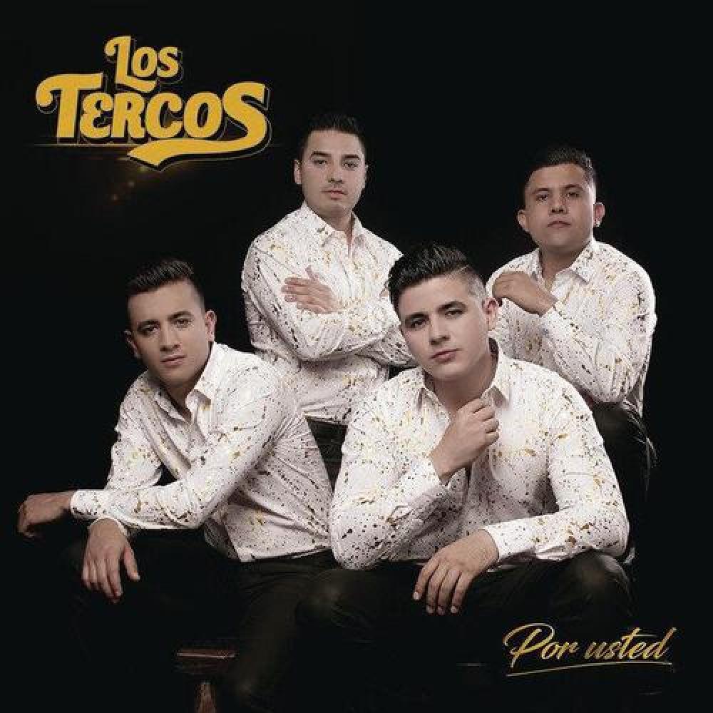 Los Tercos