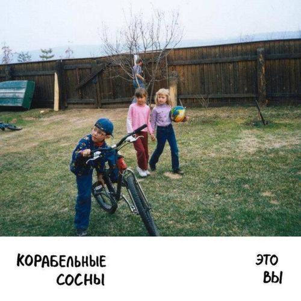 корабельные сосны