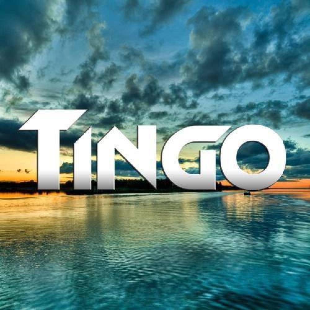 Tingo