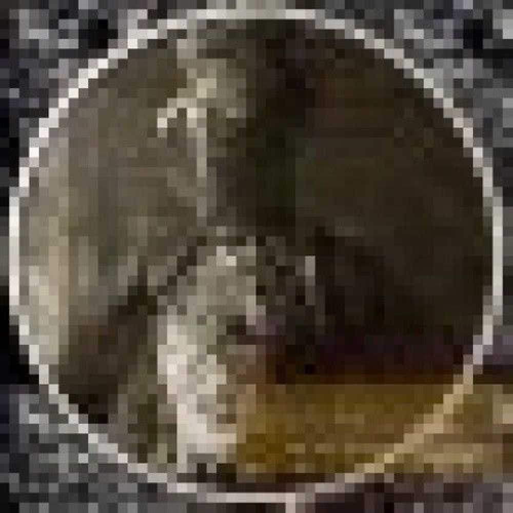 Lobotomic Cohesion