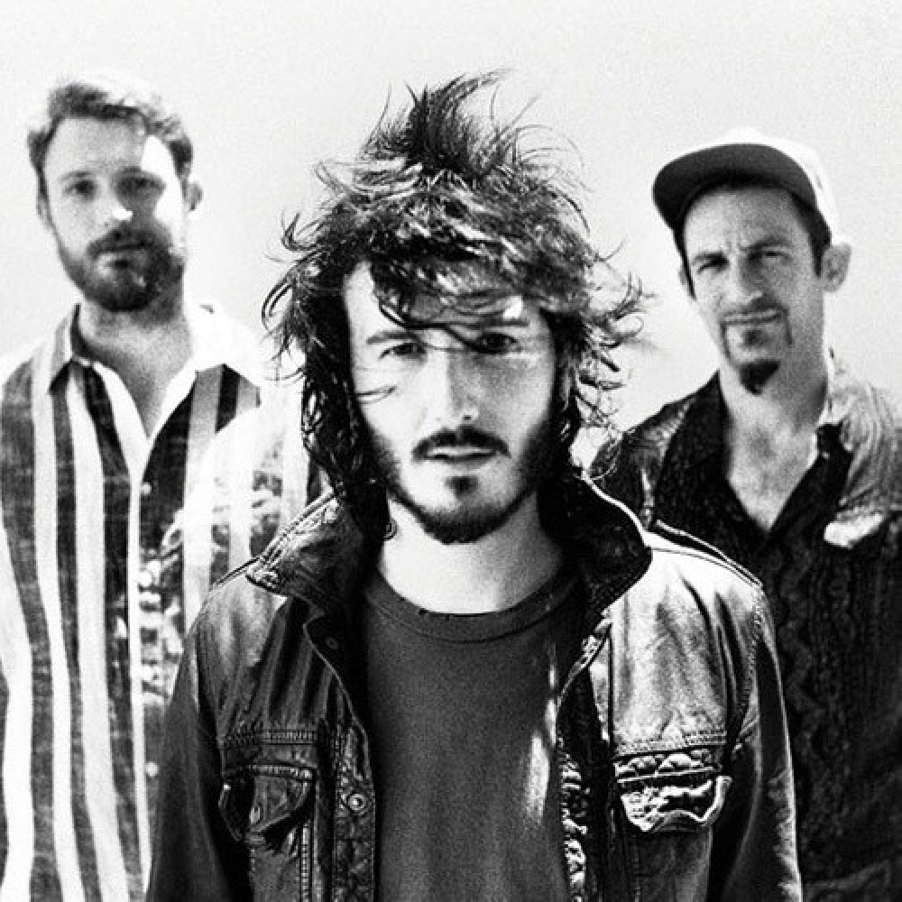 Reignwolf