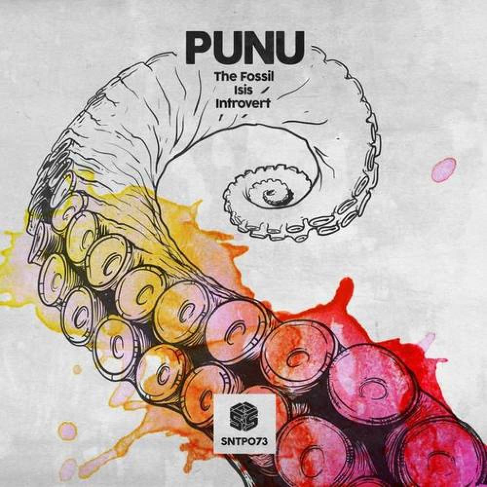 Punu