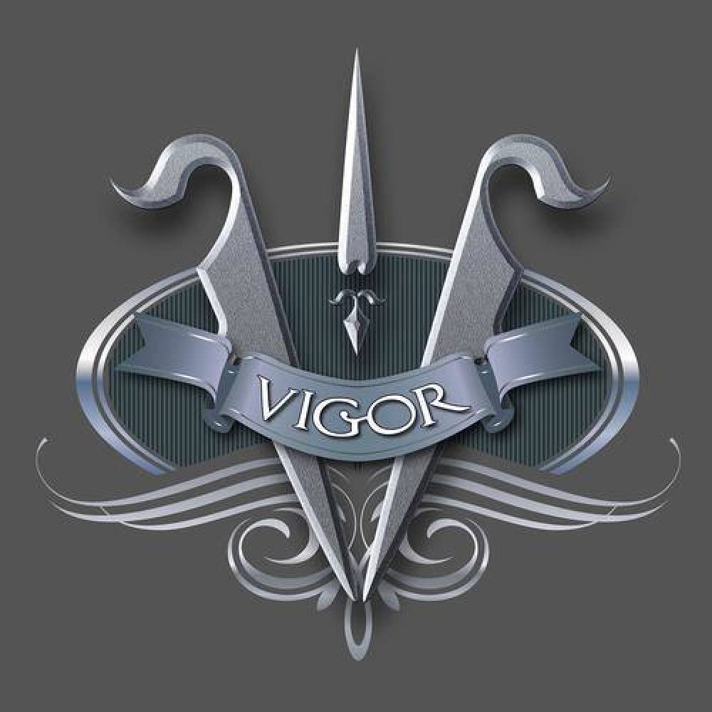 Grupa Vigor