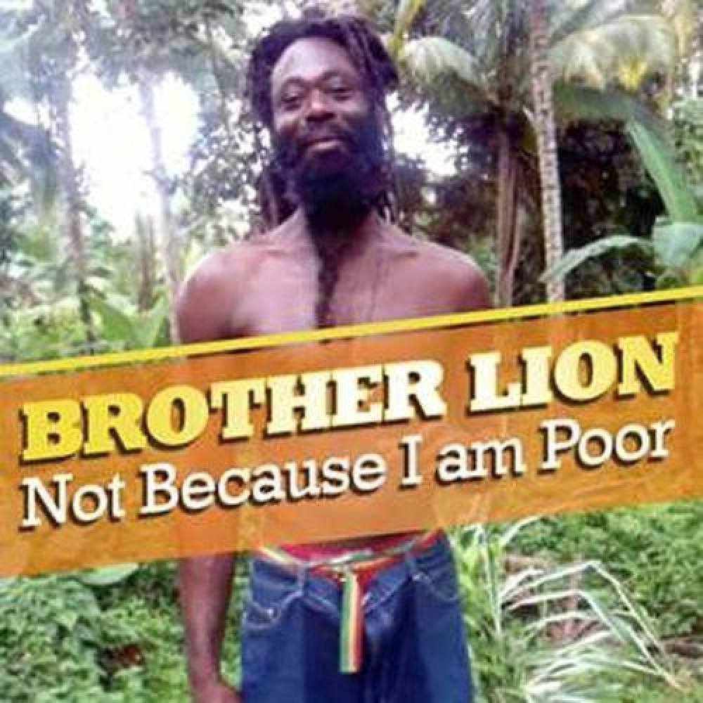 Brother Lion