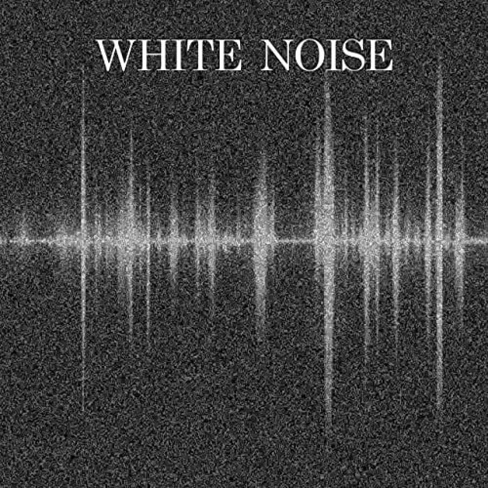 An Extract From White Noise II