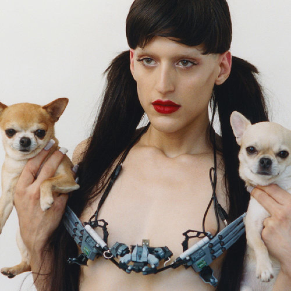 Arca