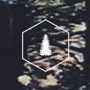 metsä ดาวน์โหลดและฟังเพลงฮิตจาก metsä