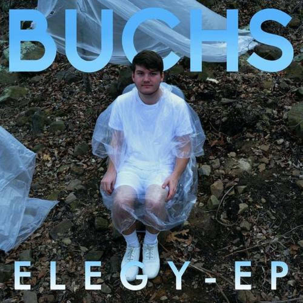 Buchs