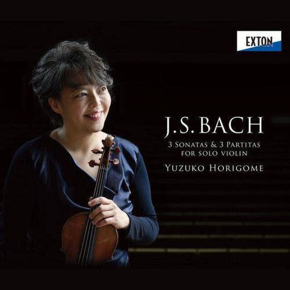 Violin Concerto in D Major, Op. 77: 1. Allegro non troppo