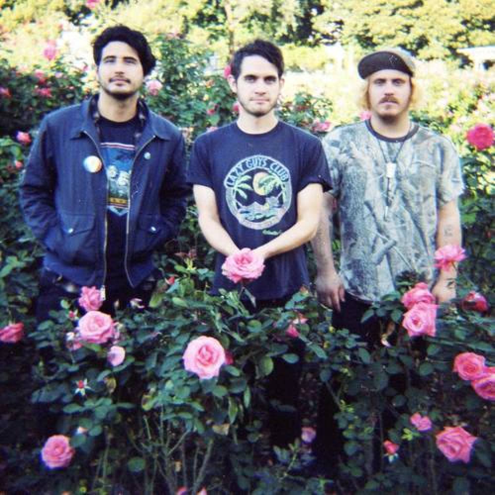Together Pangea