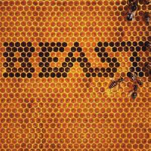Beast ดาวน์โหลดและฟังเพลงฮิตจาก Beast