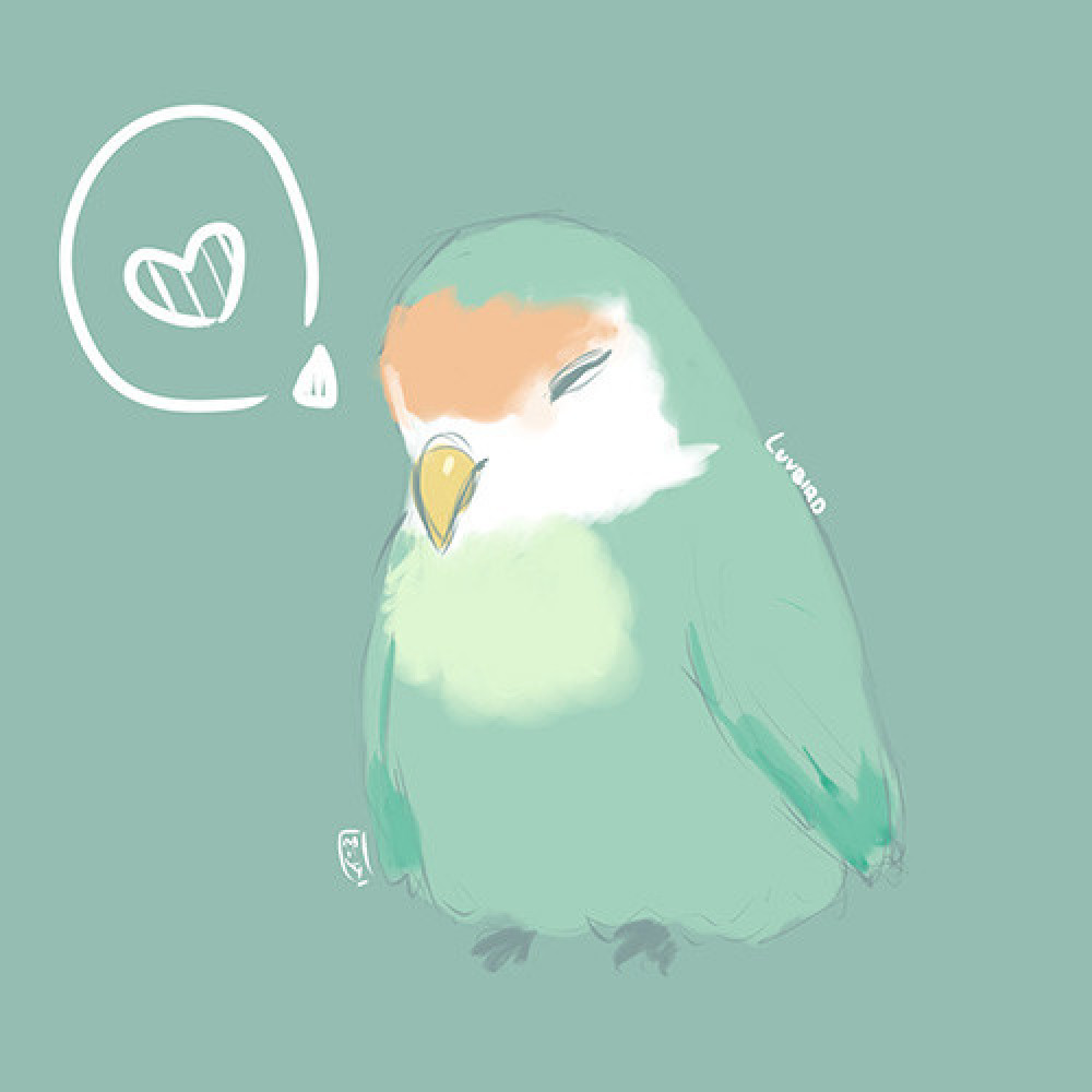 luvbird
