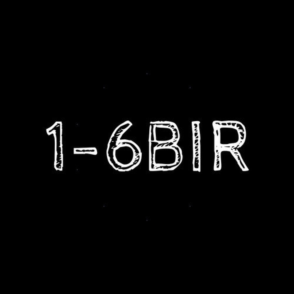 1-6BIR