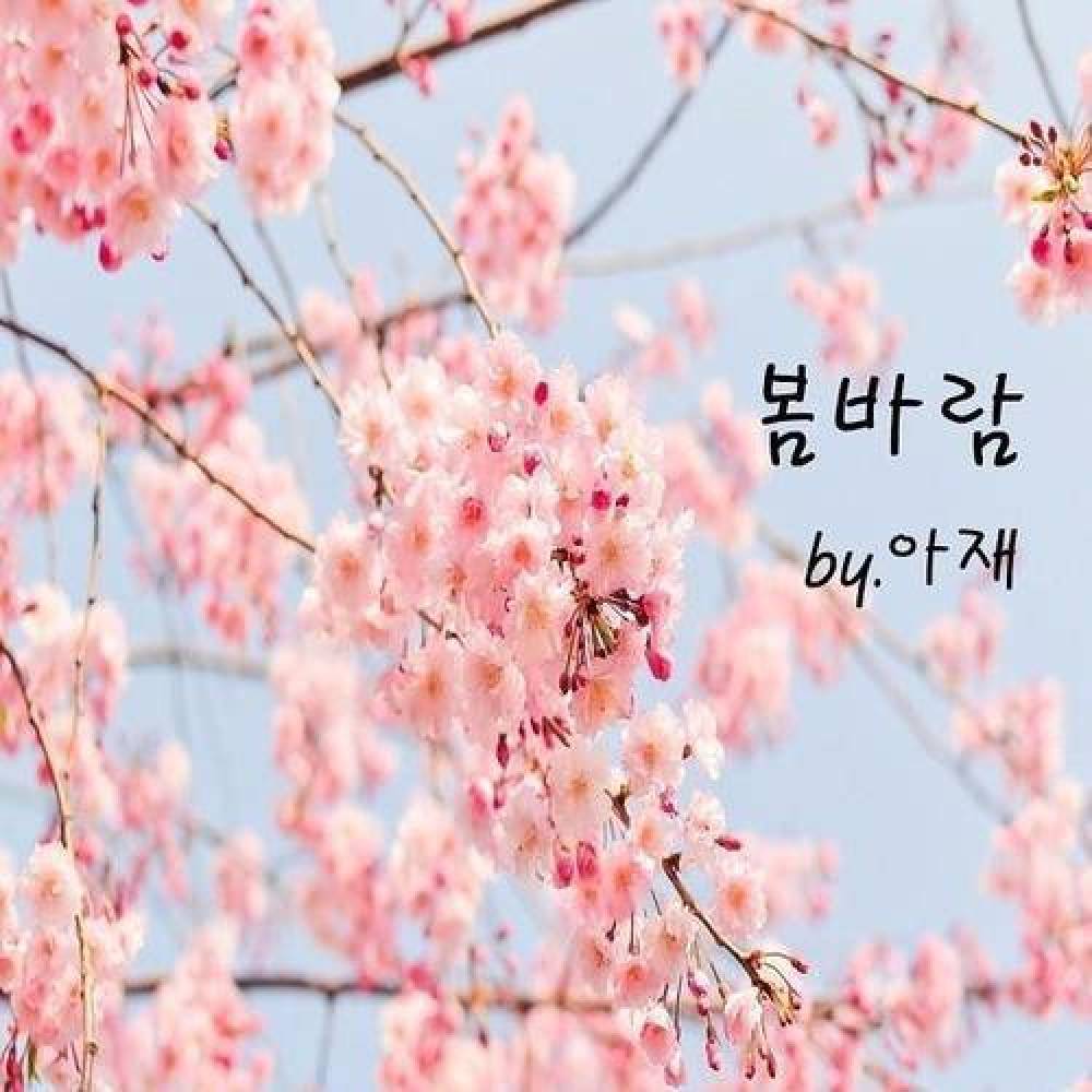 아재 (AJ)