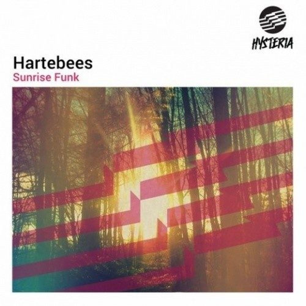Hartebees
