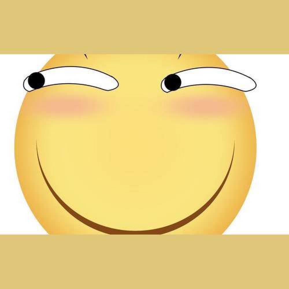 帅气机智的鱼头