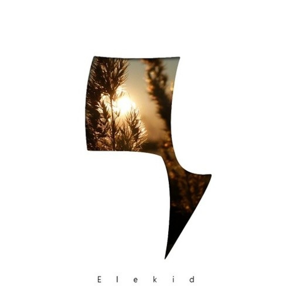 Elekid