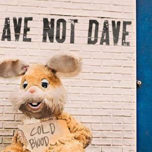 Dave Not Dave ดาวน์โหลดและฟังเพลงฮิตจาก Dave Not Dave