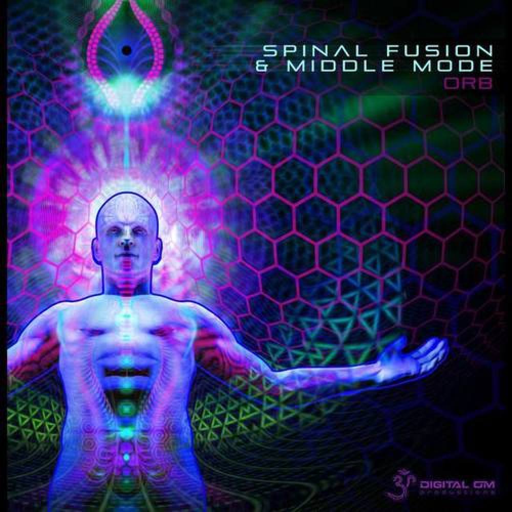 Spinal Fusion