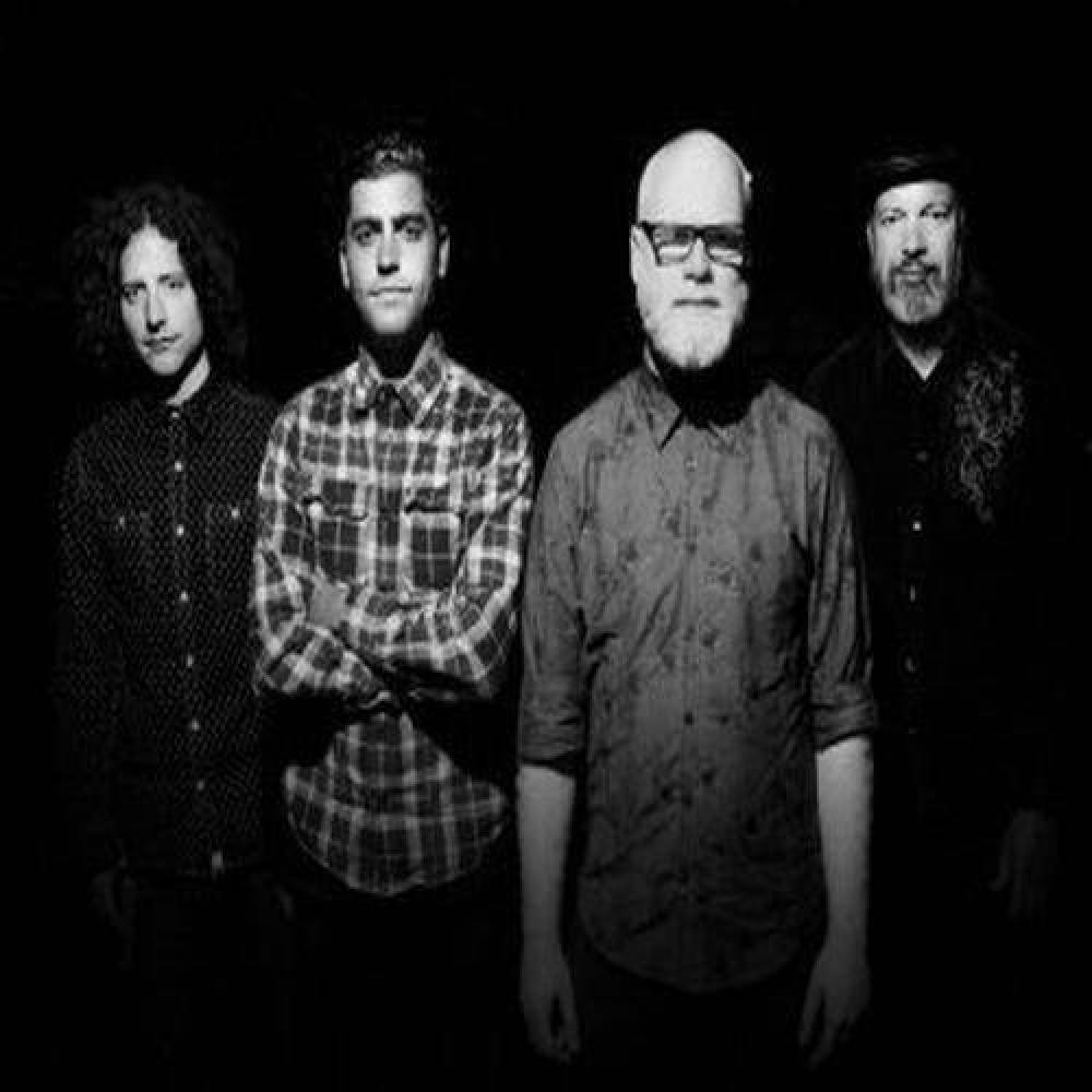 Albi & the Wolves