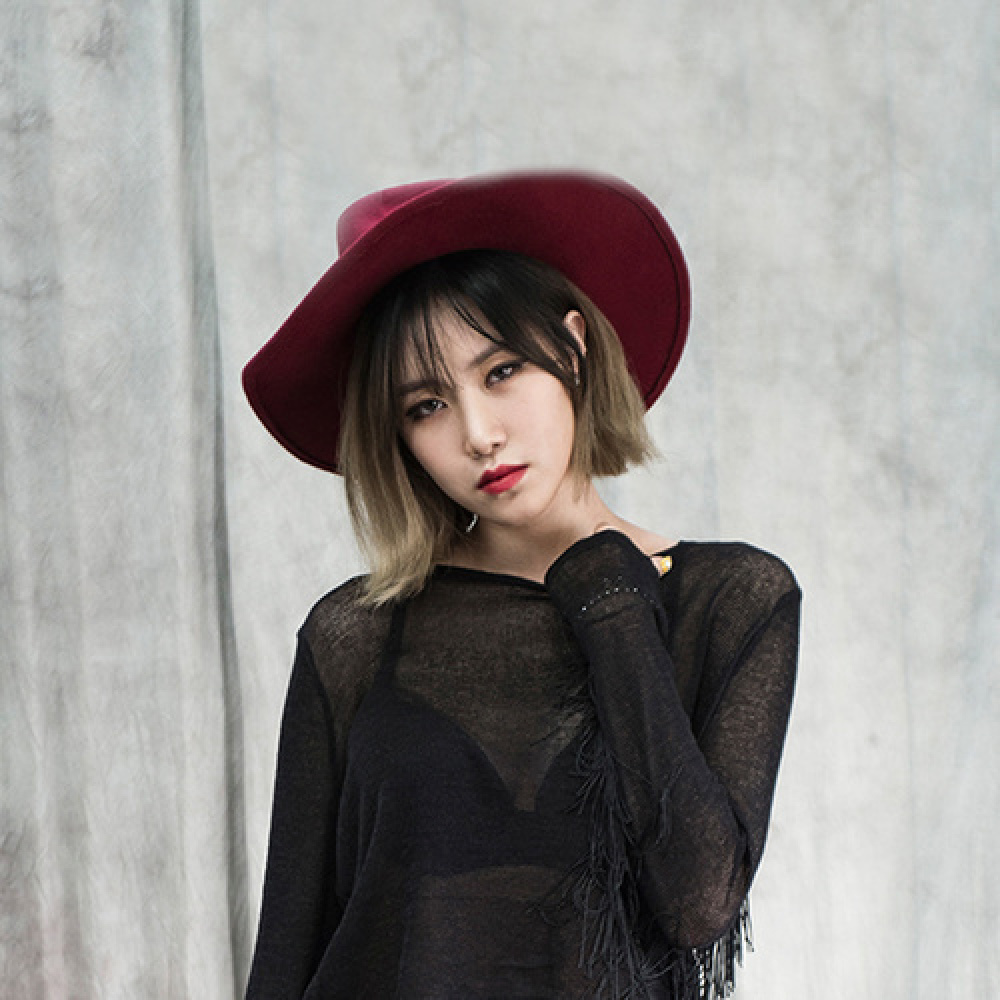 李礼智(FIESTAR)