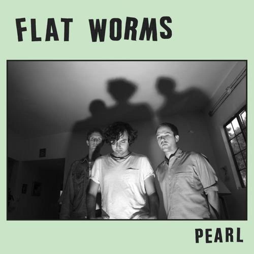 Flat Worms