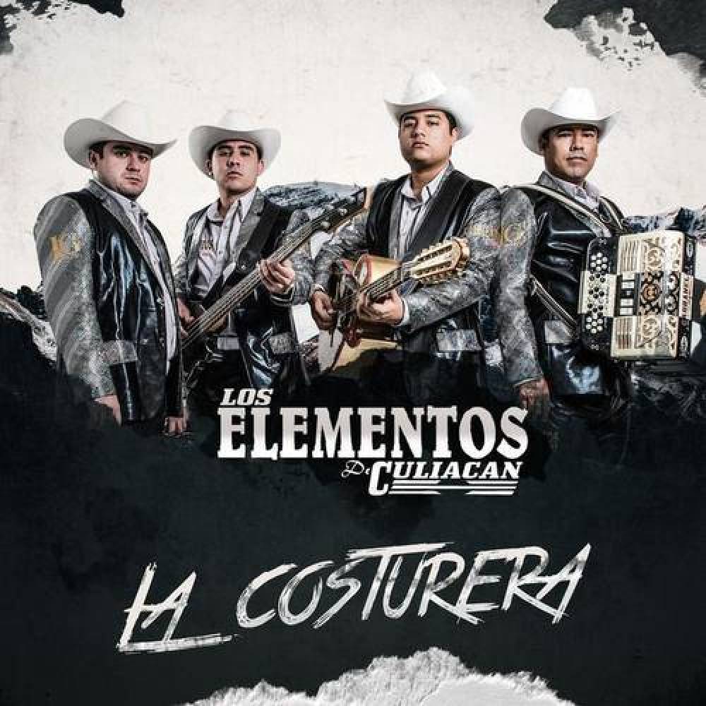 Los Elementos de Culiacan