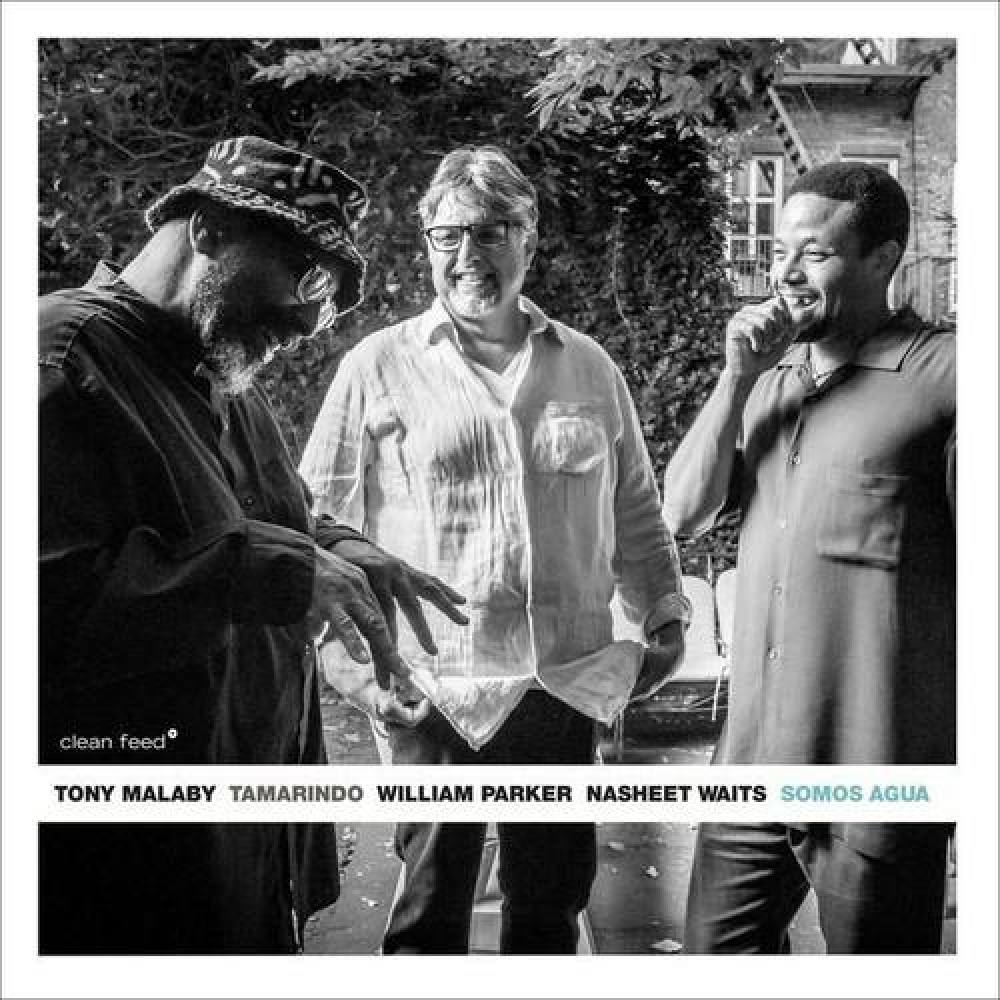Tony Malaby's Tamarindo