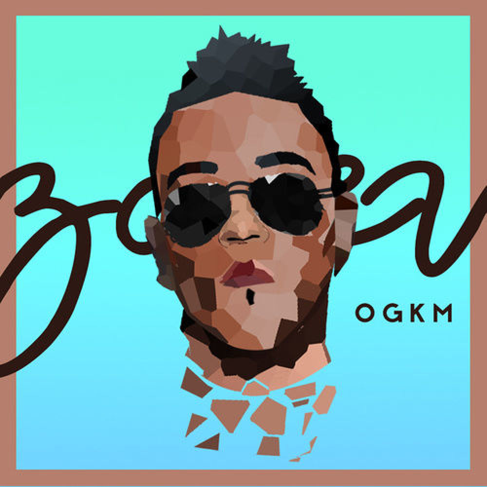 ZDev-OGKM