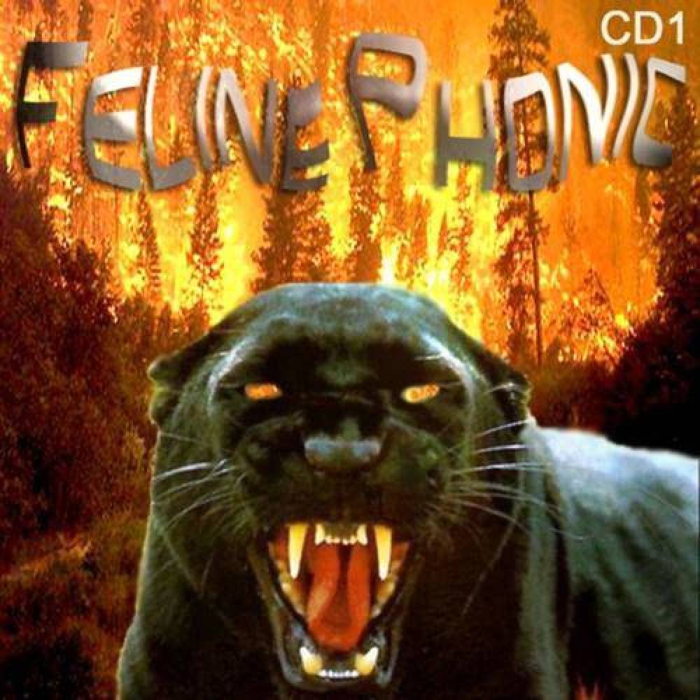 Feline Phonic