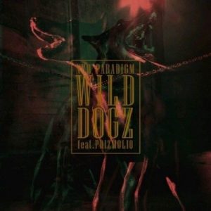 Wild Dogz ดาวน์โหลดและฟังเพลงฮิตจาก Wild Dogz
