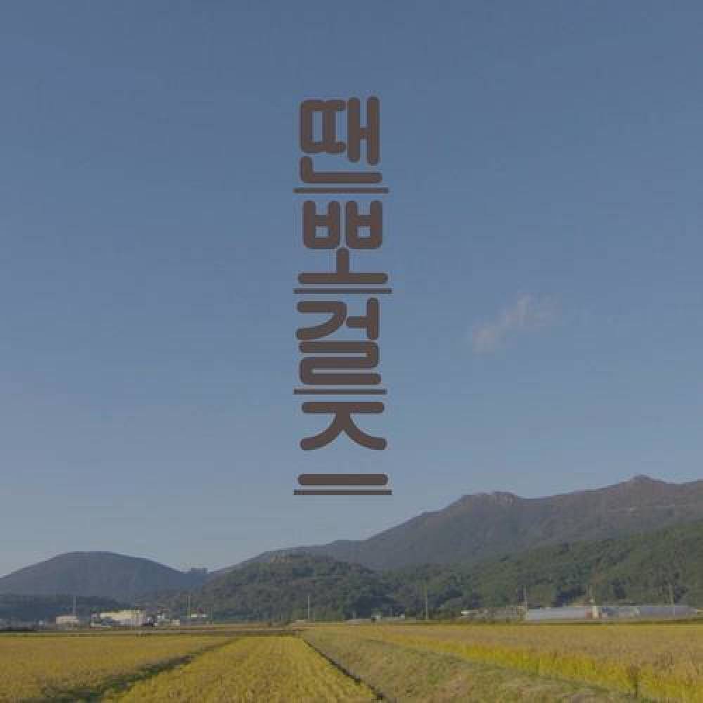 윤중