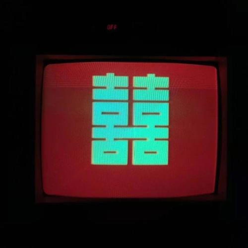 一只鹅