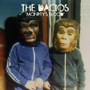 The Dacios ดาวน์โหลดและฟังเพลงฮิตจาก The Dacios