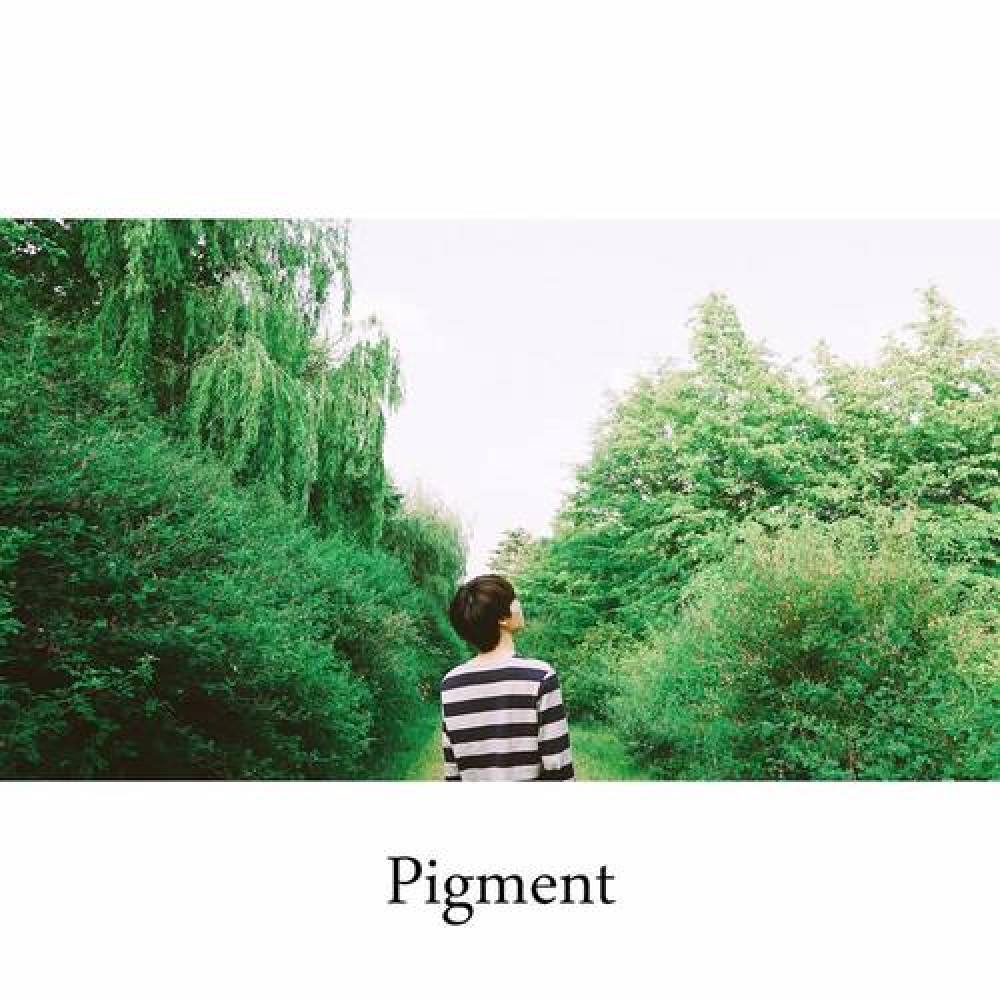 Pigment